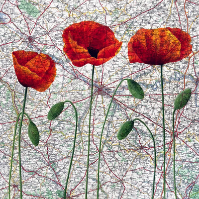 Image: Amiens poppies by Jane Wilson