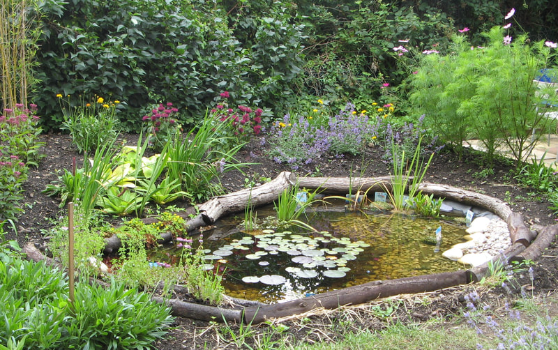 Photograph of the pond at Open Door with waterlillies and flowers surrouning it.